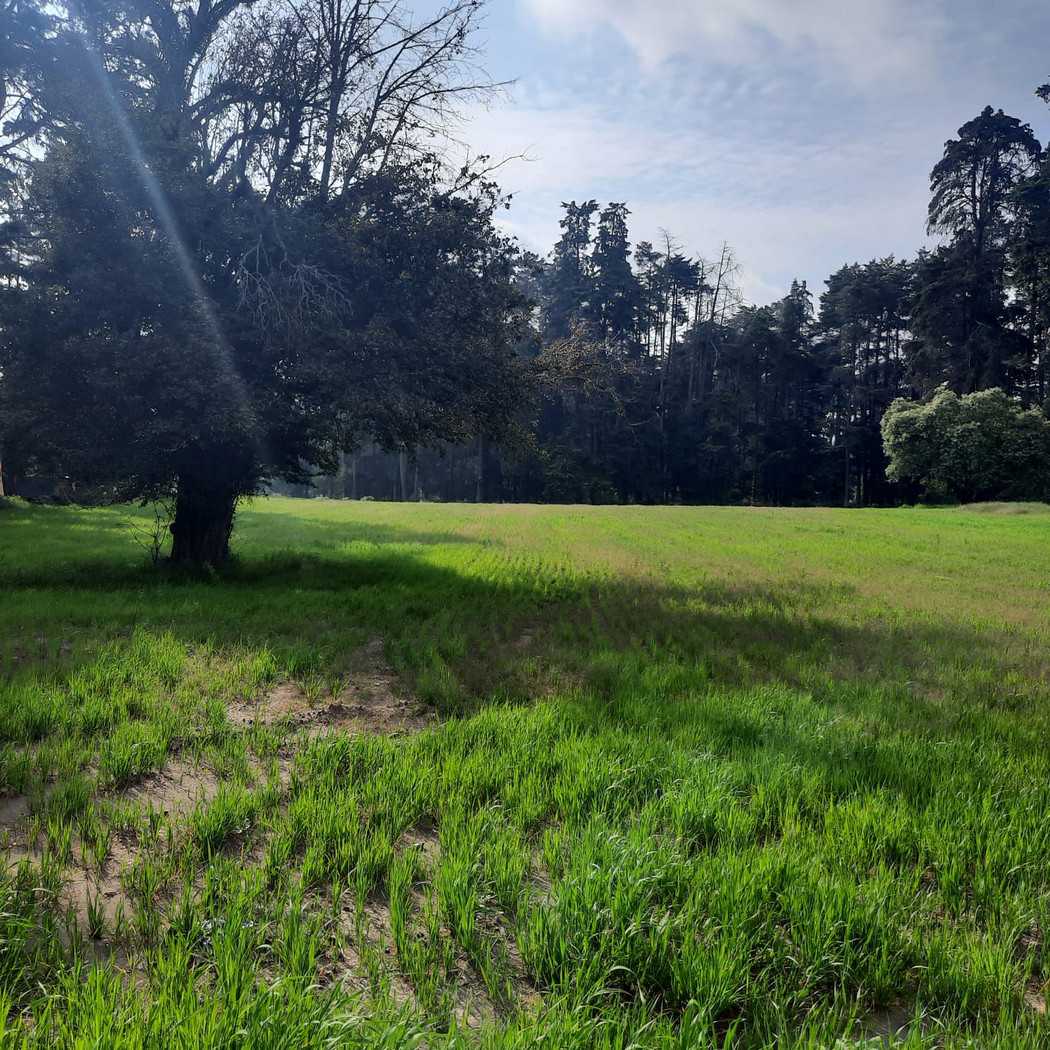 Terreno ubicado a lado de Popo Park, Municipio Atlautla Estado de México